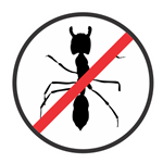 Termite Resistance